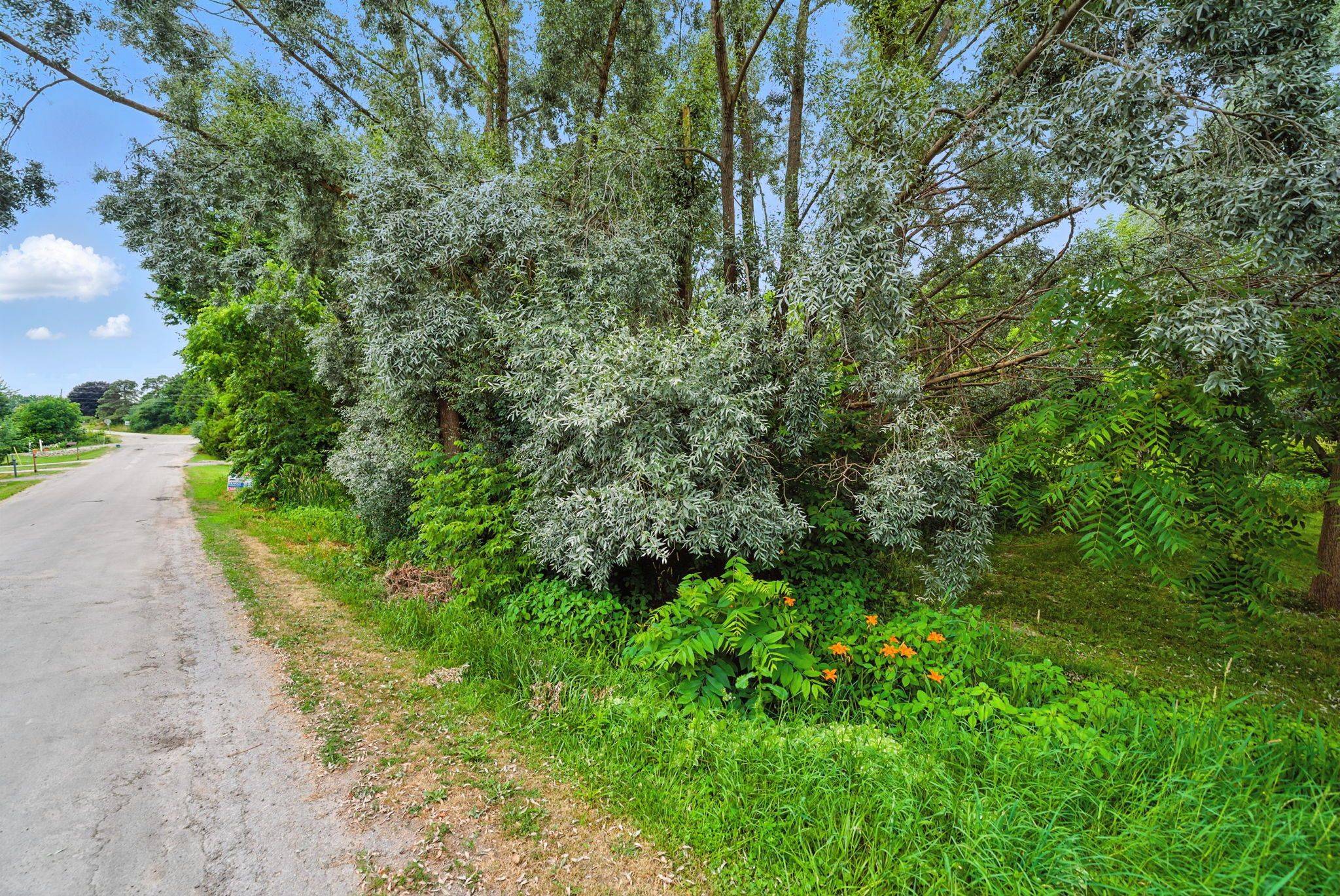 Lot 61 Summer DR, Kawartha Lakes, ON K0M 2C0