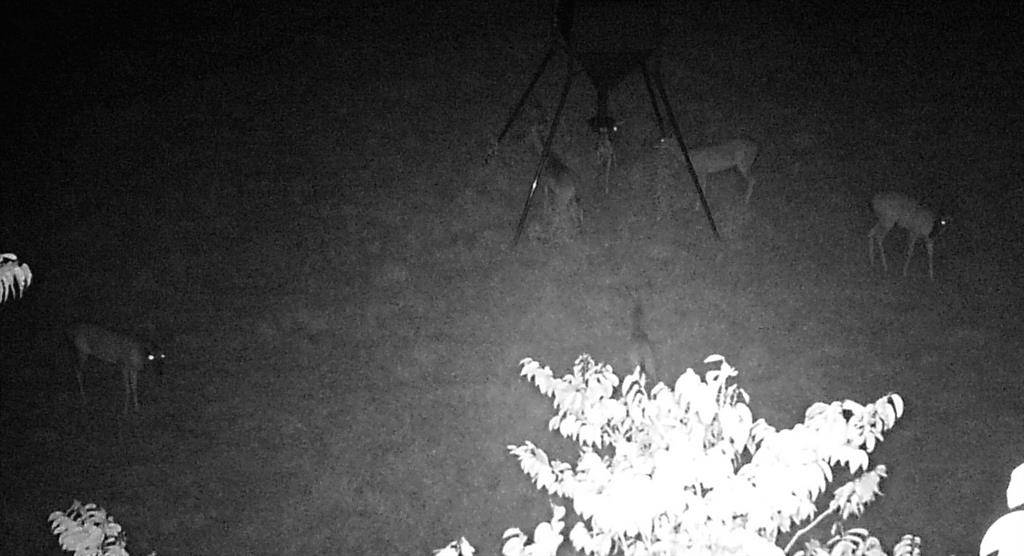 2280 County Road 129, Tyler, TX 75703