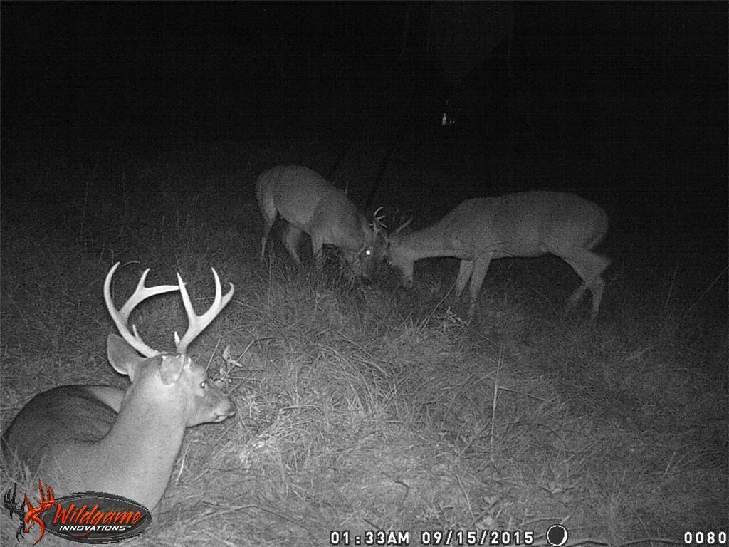 2280 County Road 129, Tyler, TX 75703