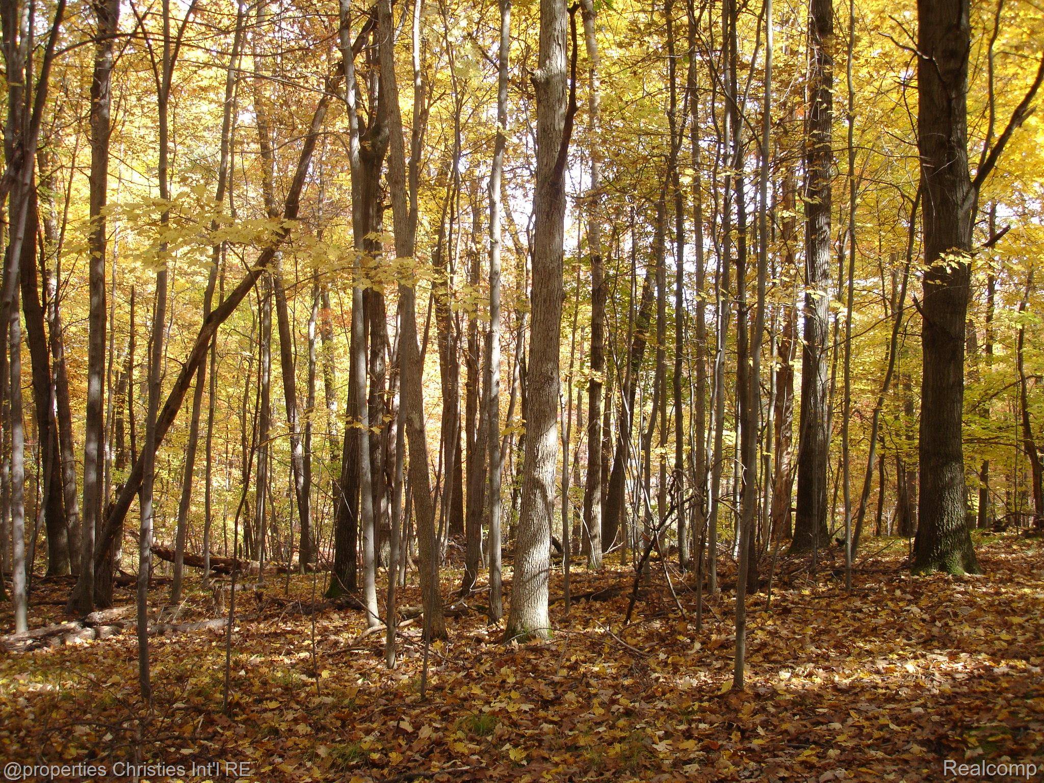 1451 Barrwood TRL, Oxford Village, MI 48371