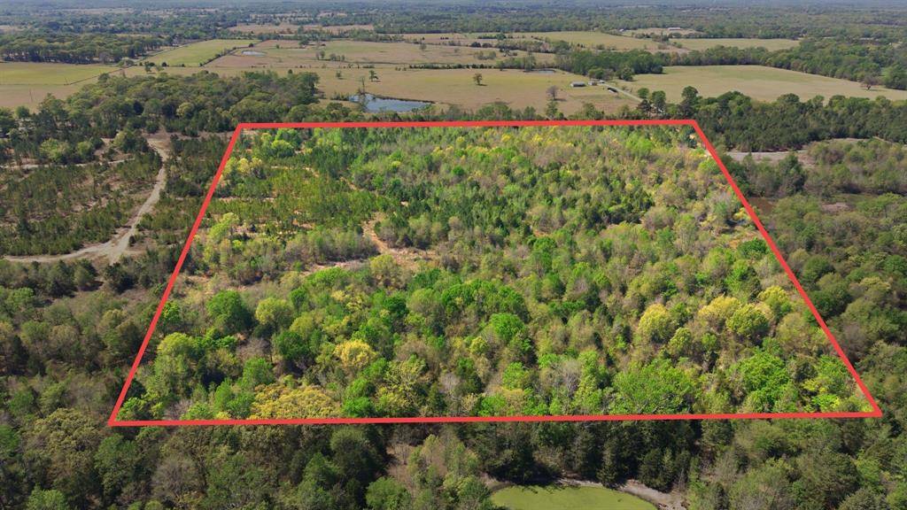 TBD CR 2382, Alba, TX 75410