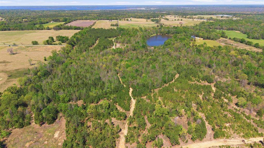 TBD CR 2382, Alba, TX 75410