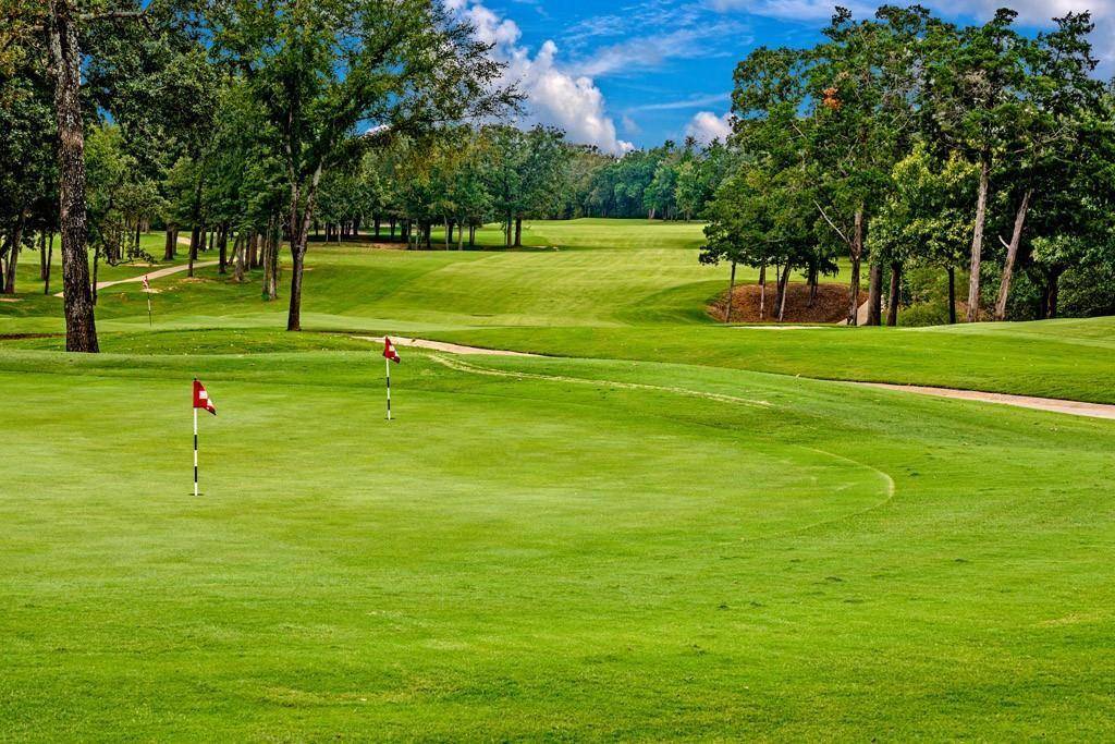 265 Pine Hills, Gordonville, TX 76245