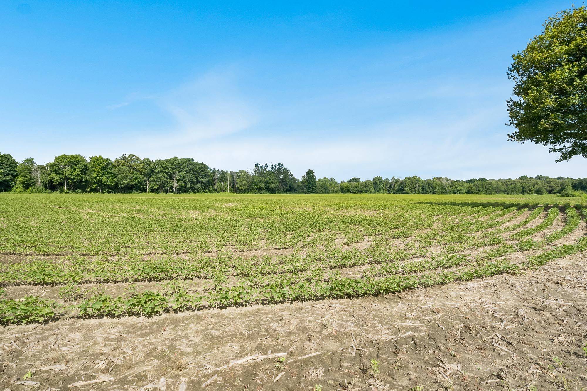 4065 15th Line, Innisfil, ON L0L 1L0