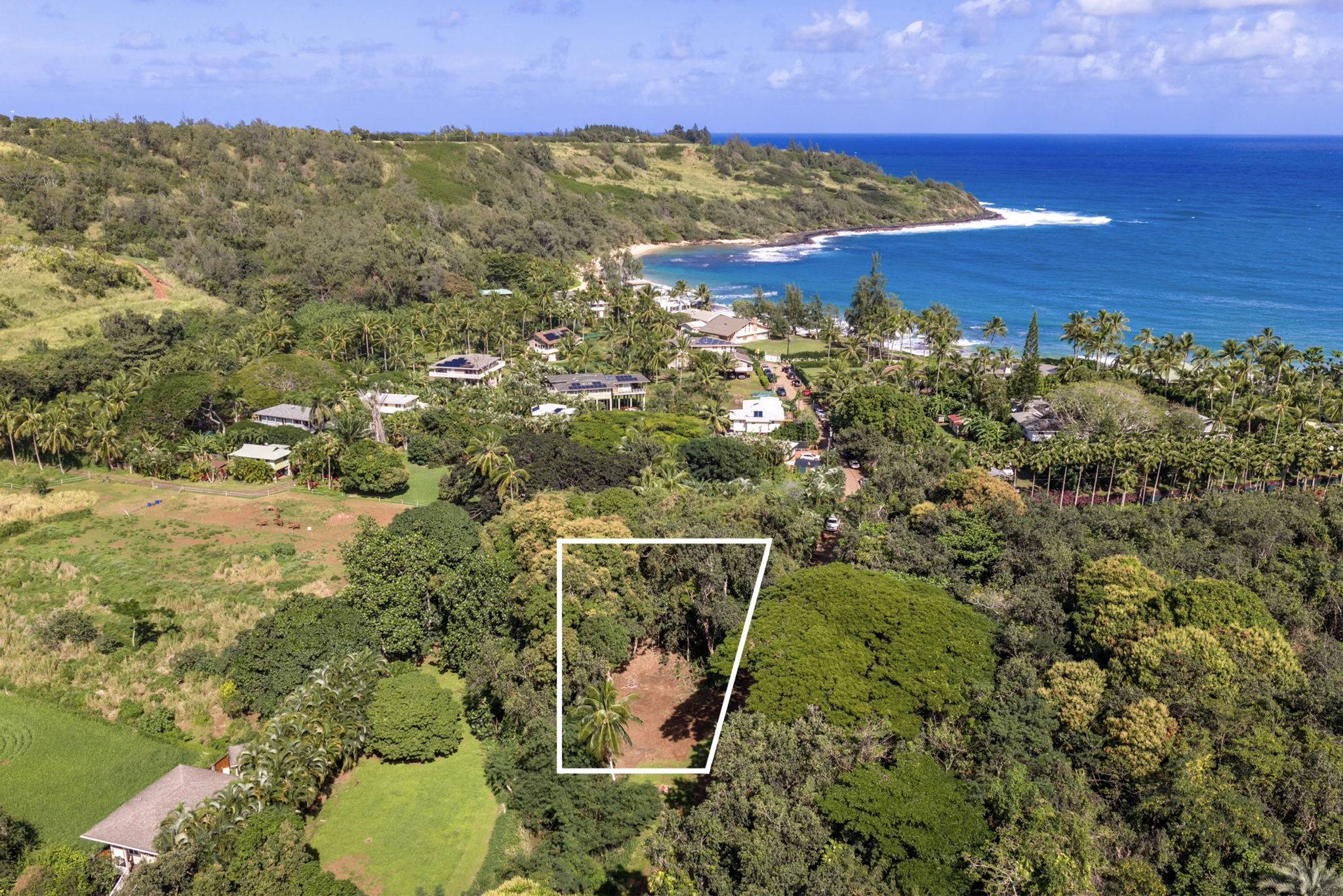 MOLOAA RD, Anahola, HI 96703