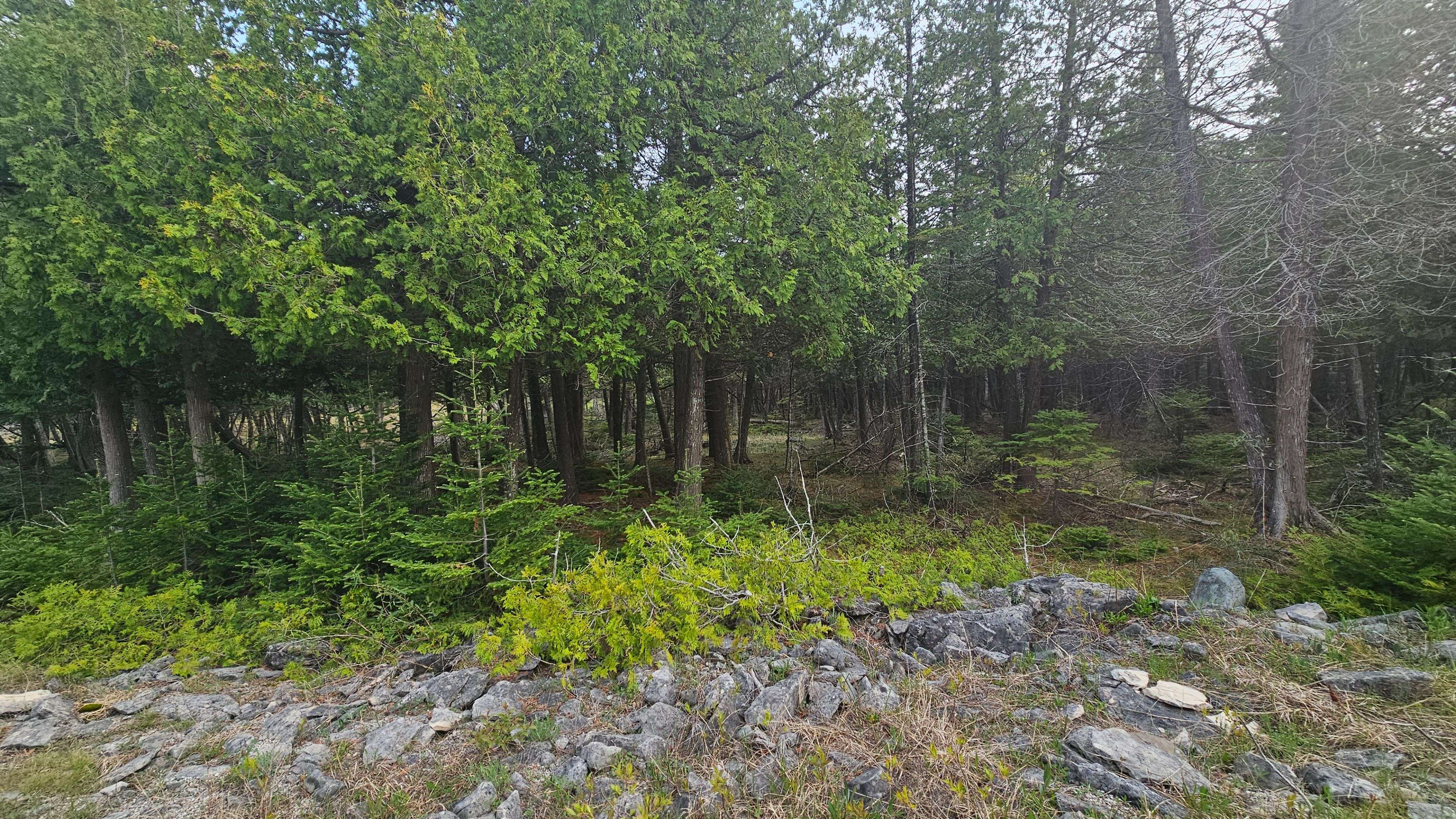 LT 254 Dorcas Bay RD, Northern Bruce Peninsula, ON N0H 2R0