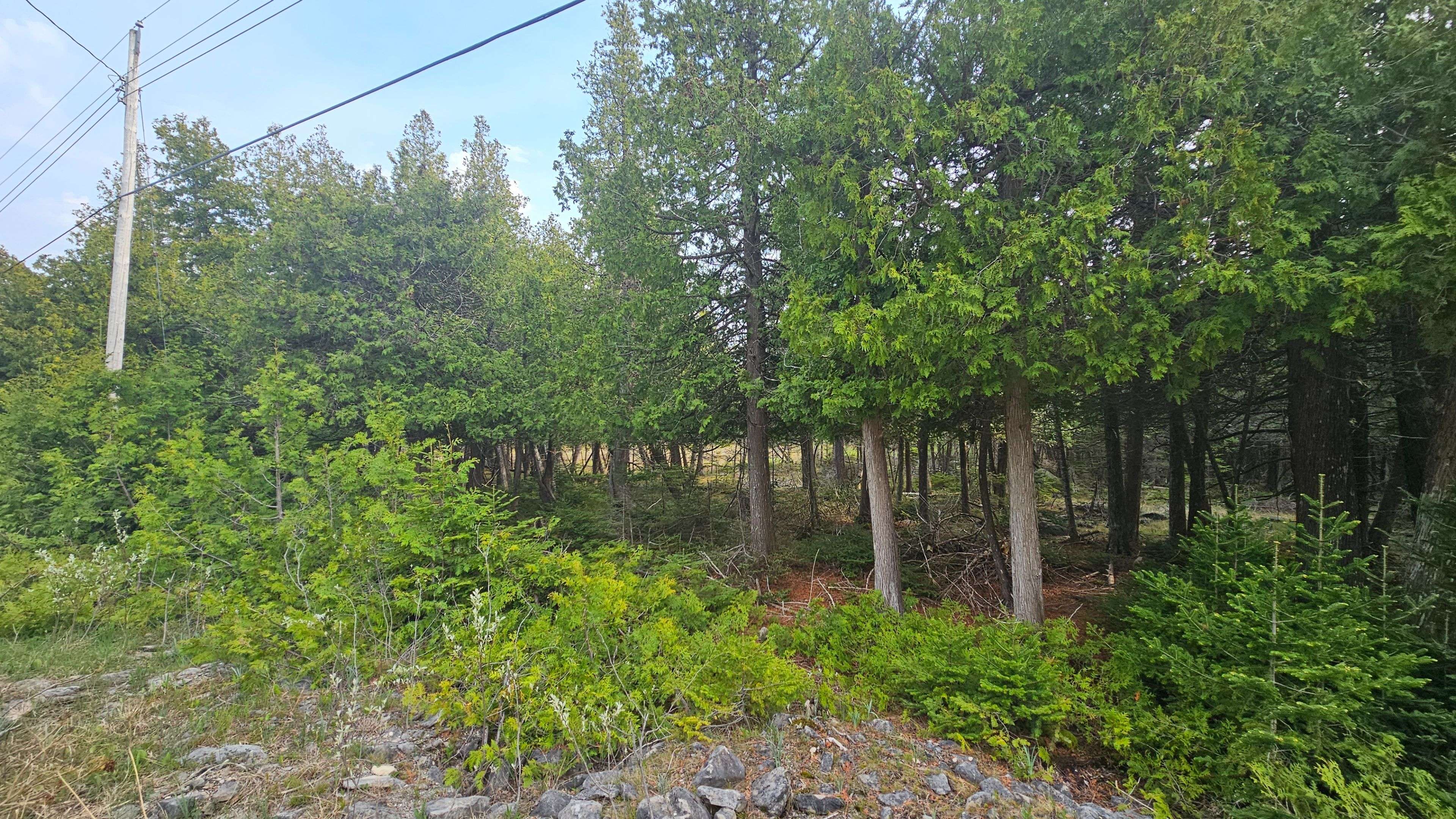 LT 254 Dorcas Bay RD, Northern Bruce Peninsula, ON N0H 2R0