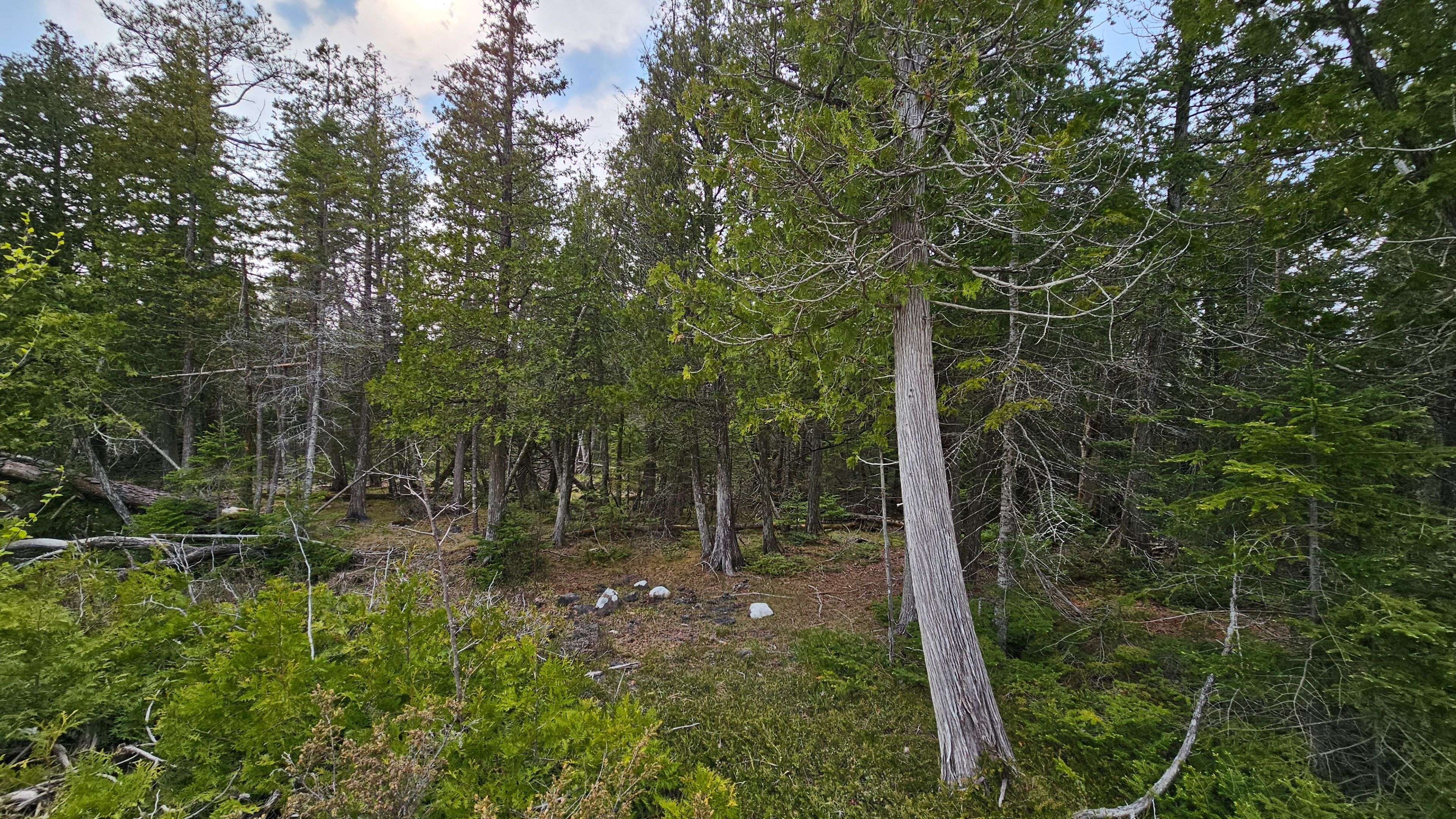 LT 254 Dorcas Bay RD, Northern Bruce Peninsula, ON N0H 2R0