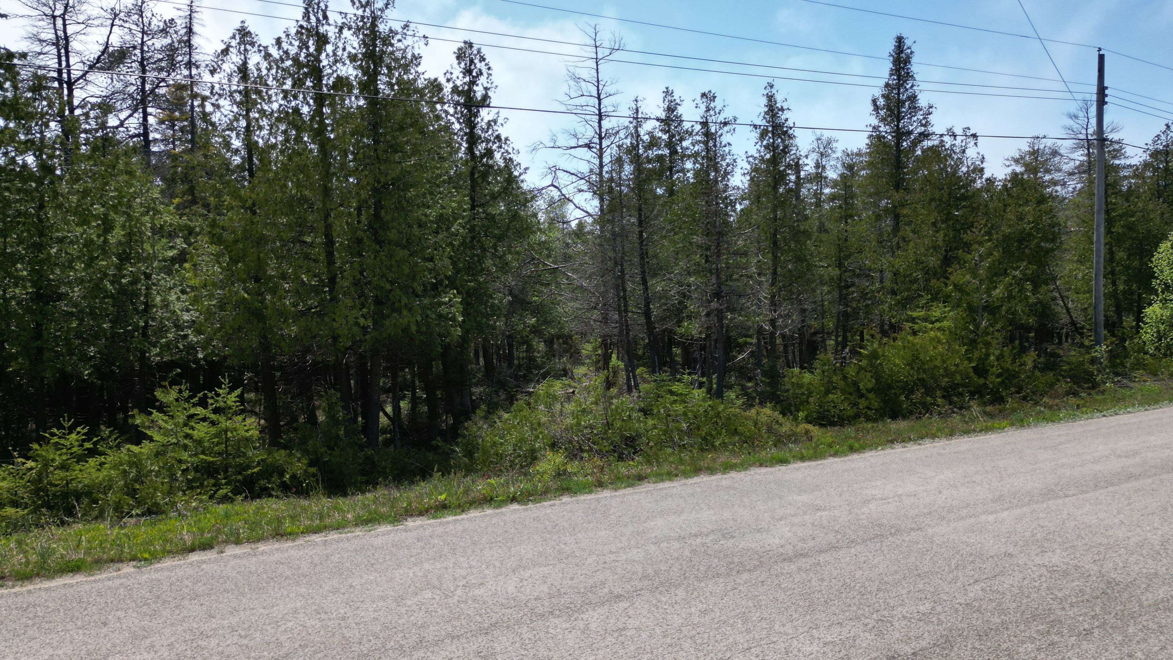 LT 254 Dorcas Bay RD, Northern Bruce Peninsula, ON N0H 2R0