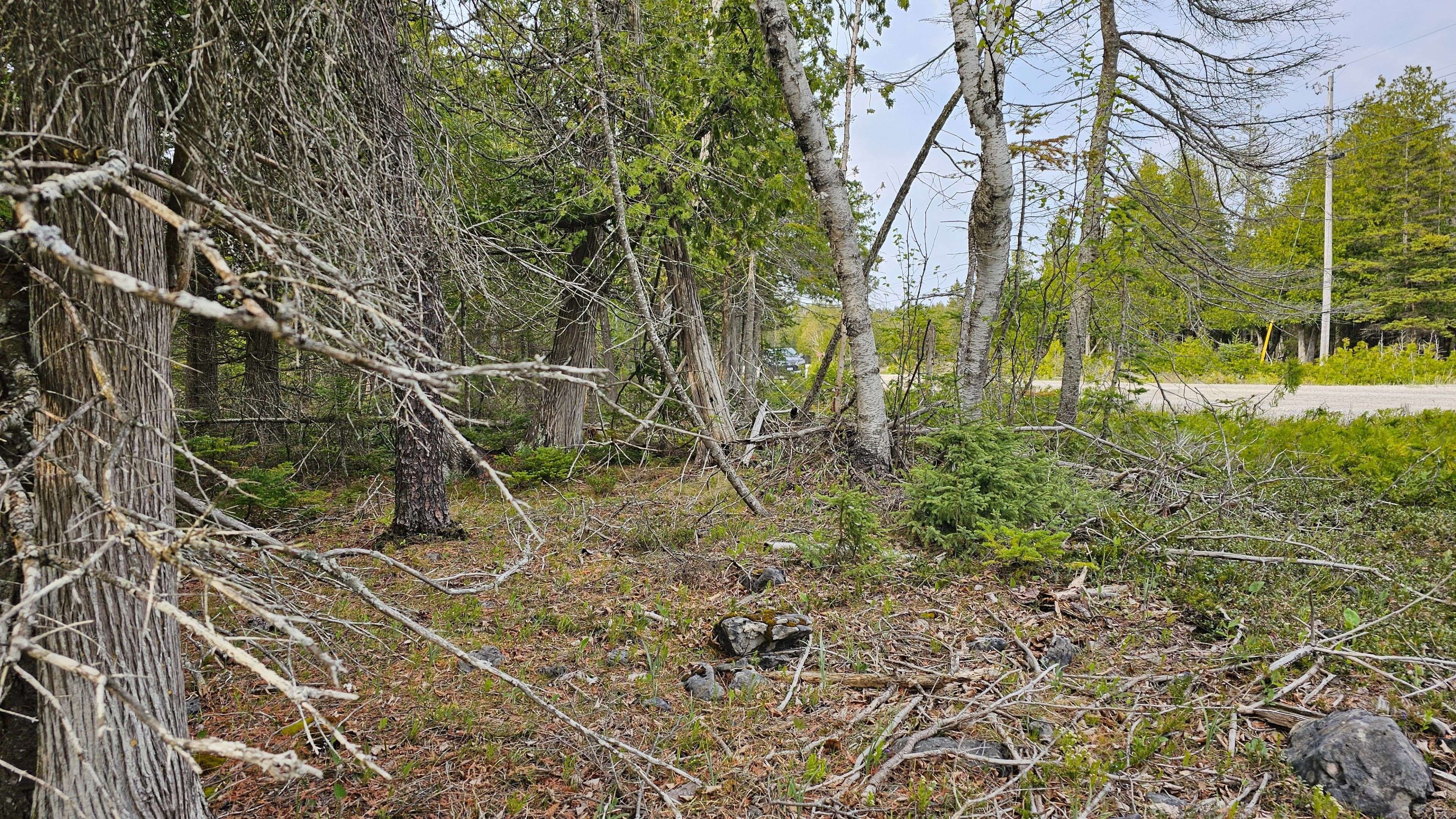 LT 255 Pedwell Pt. DR, Northern Bruce Peninsula, ON N0H 2R0