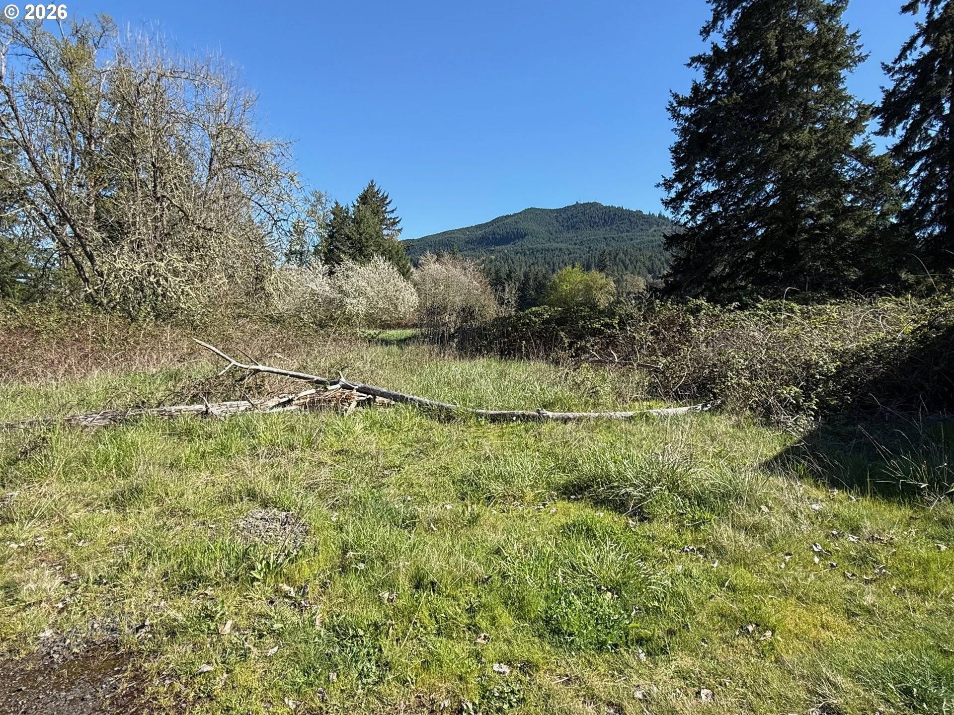 40144 BIG FALL CREEK RD, Fall Creek, OR 97438