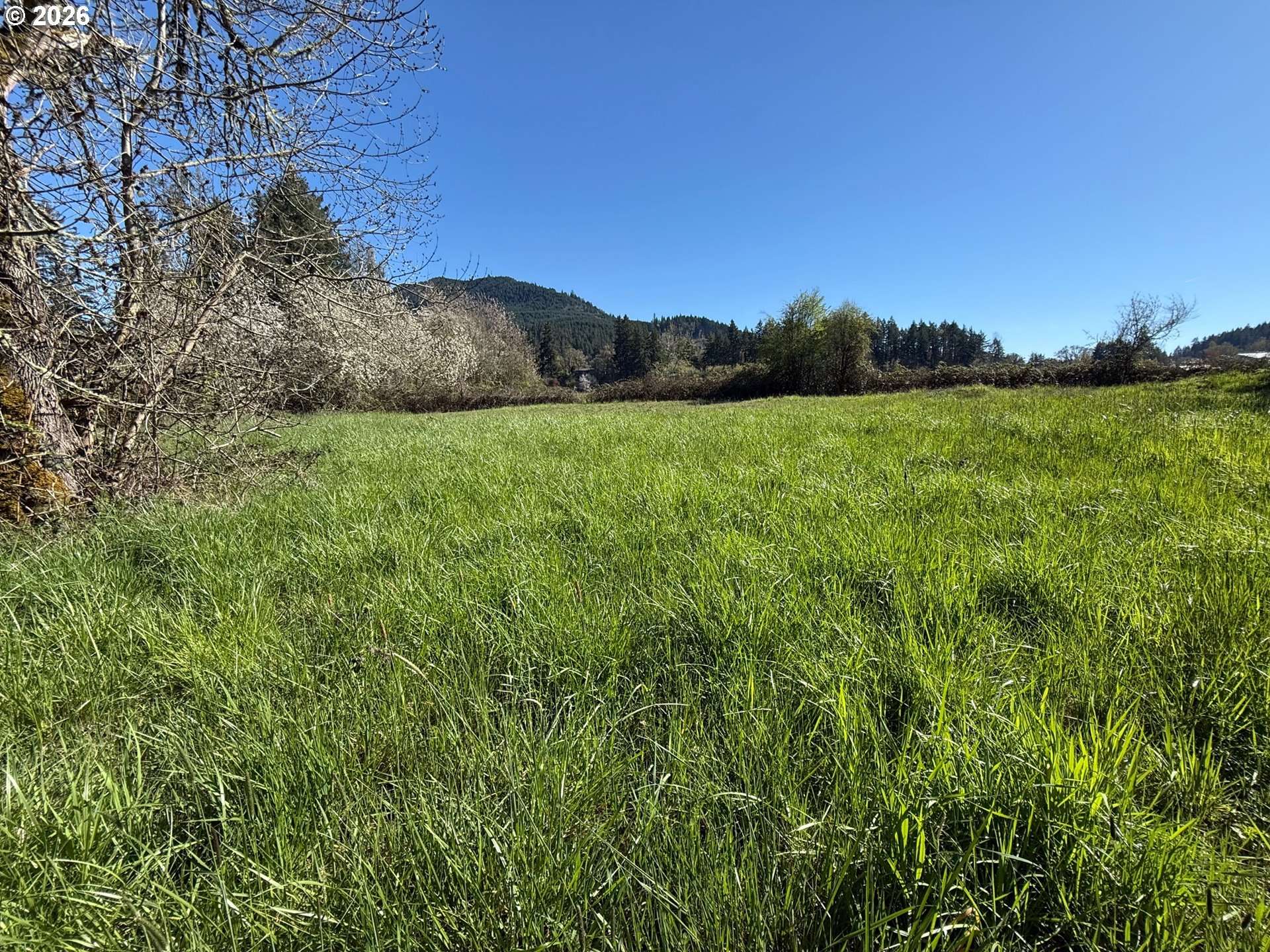 40144 BIG FALL CREEK RD, Fall Creek, OR 97438