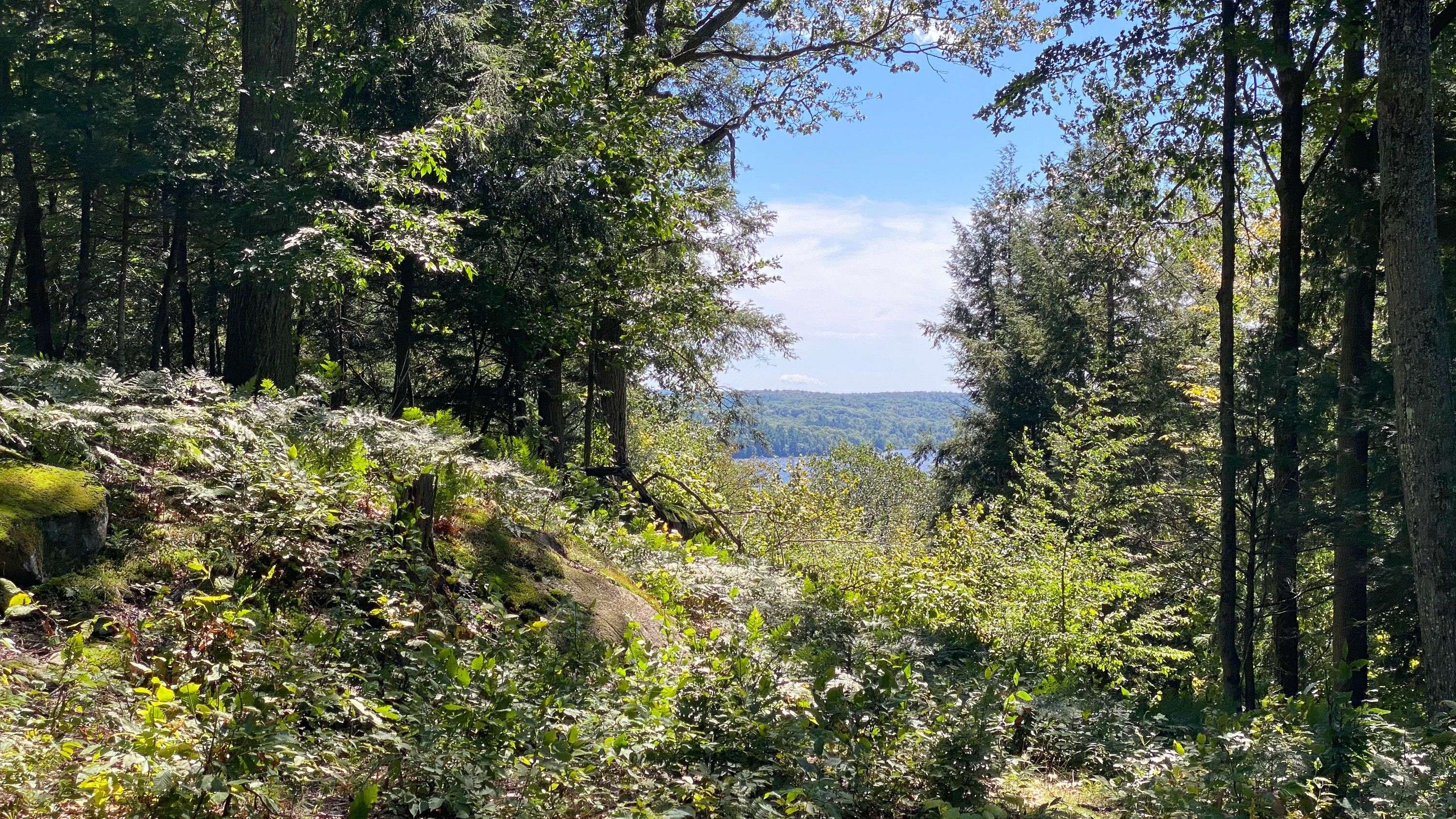 22 Gryffin Bluffs LN #6, Huntsville, ON P0B 1M0