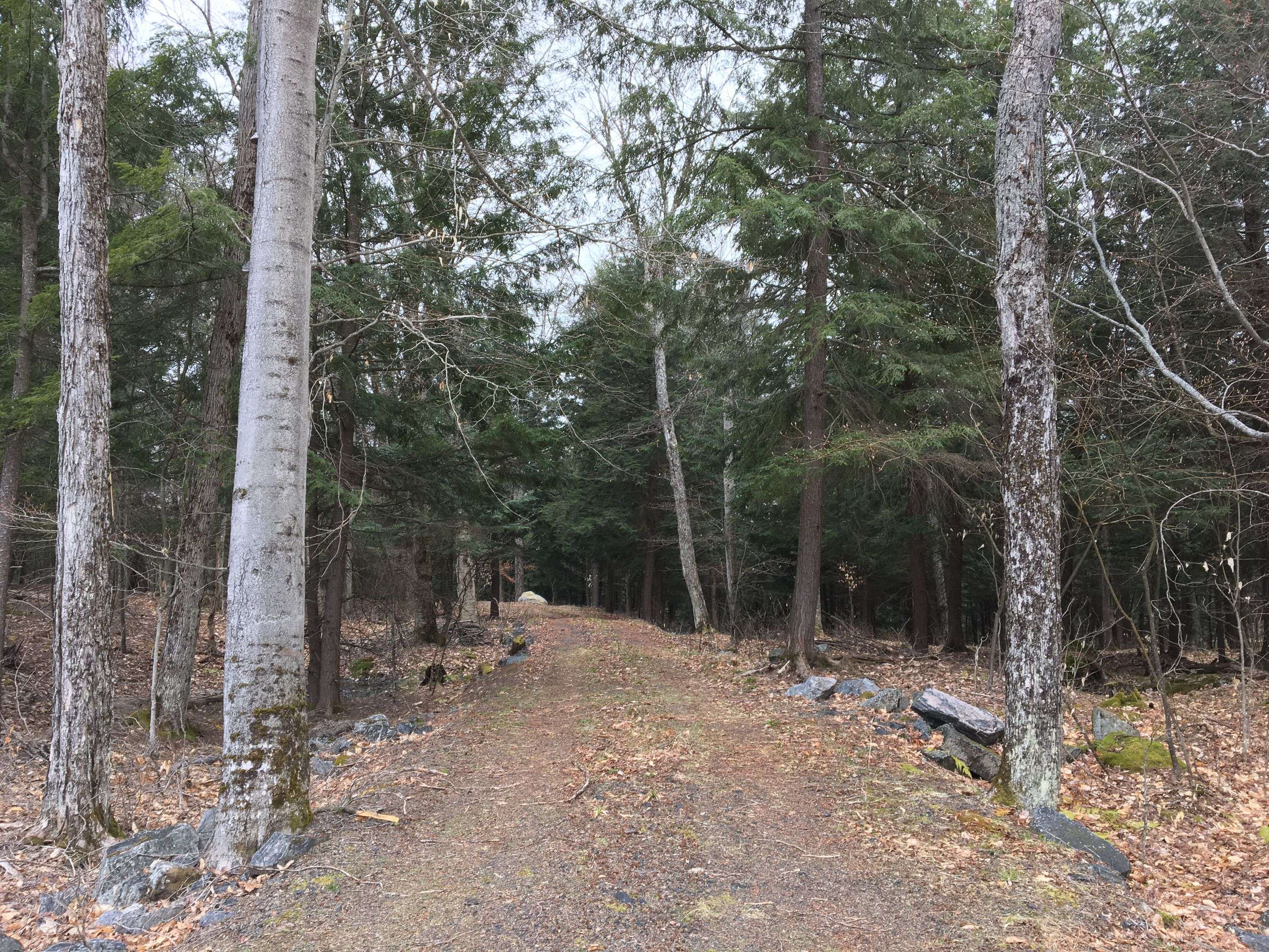 22 Gryffin Bluffs LN #6, Huntsville, ON P0B 1M0