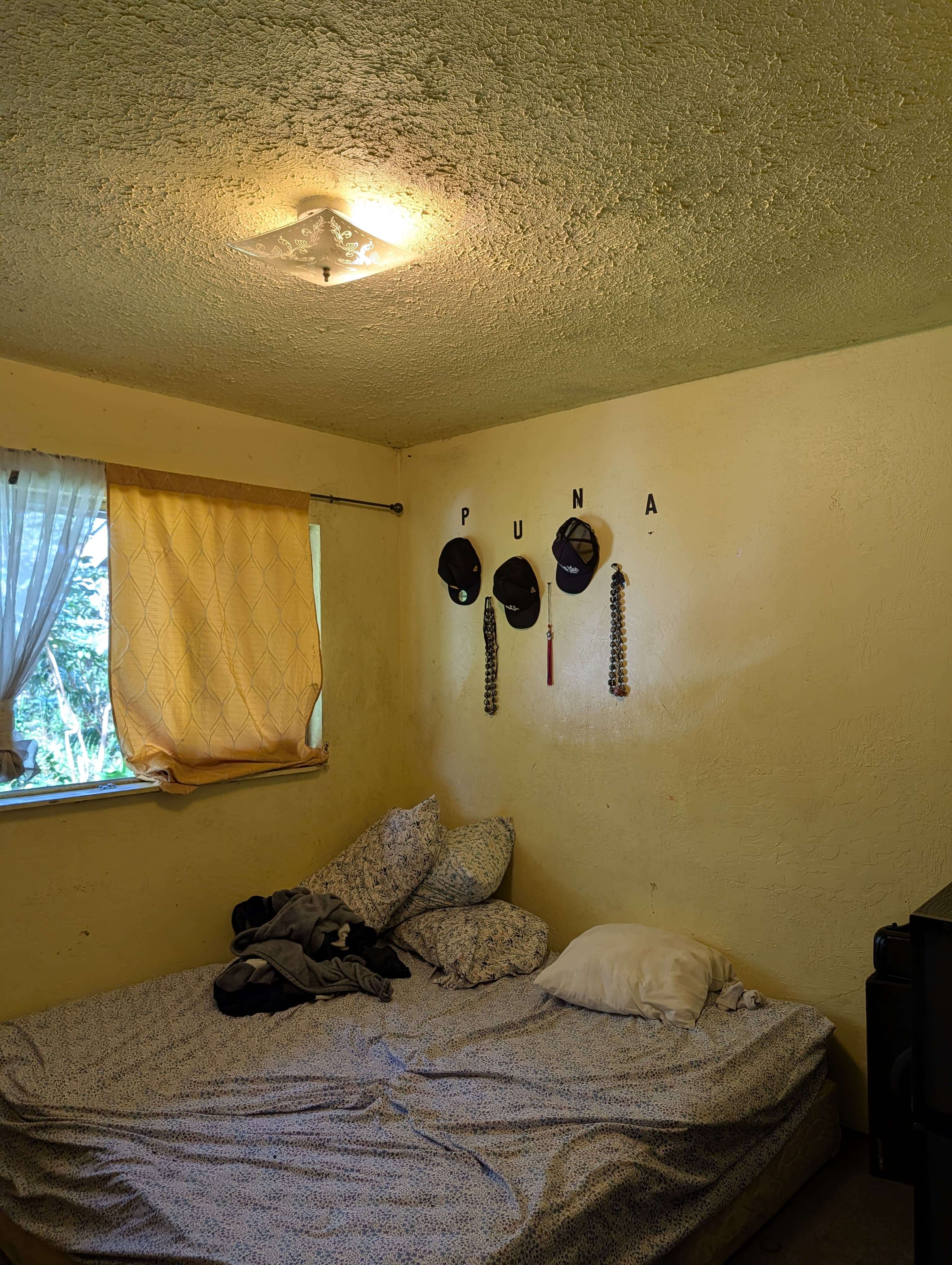 16-2027 TIKI RD, Kurtistown, HI 96760