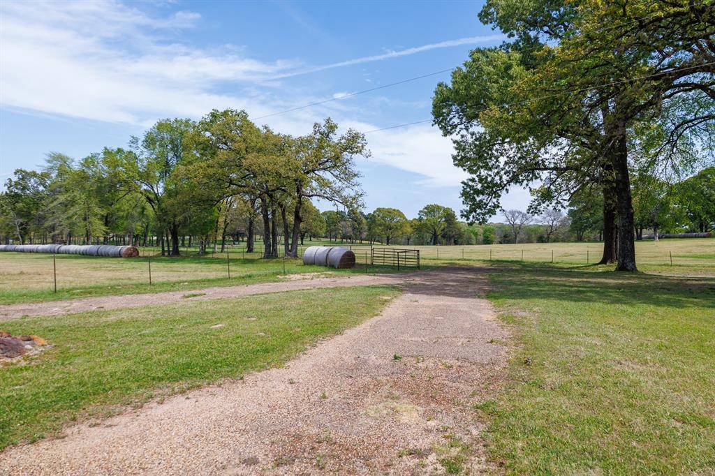 411 County Road 4313, Ben Wheeler, TX 75754