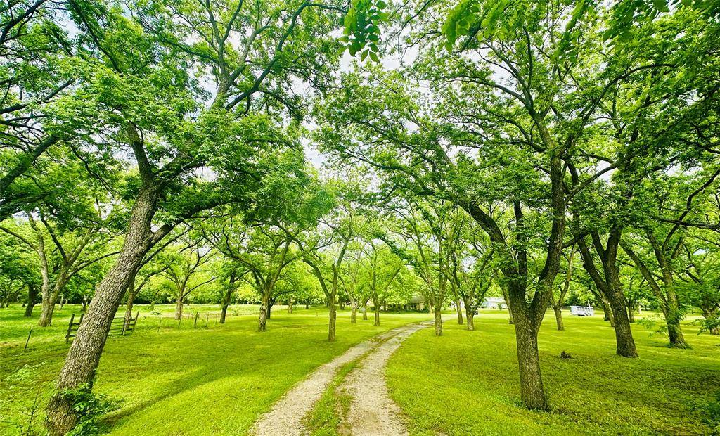 11320 County Road 528, Mansfield, TX 76063
