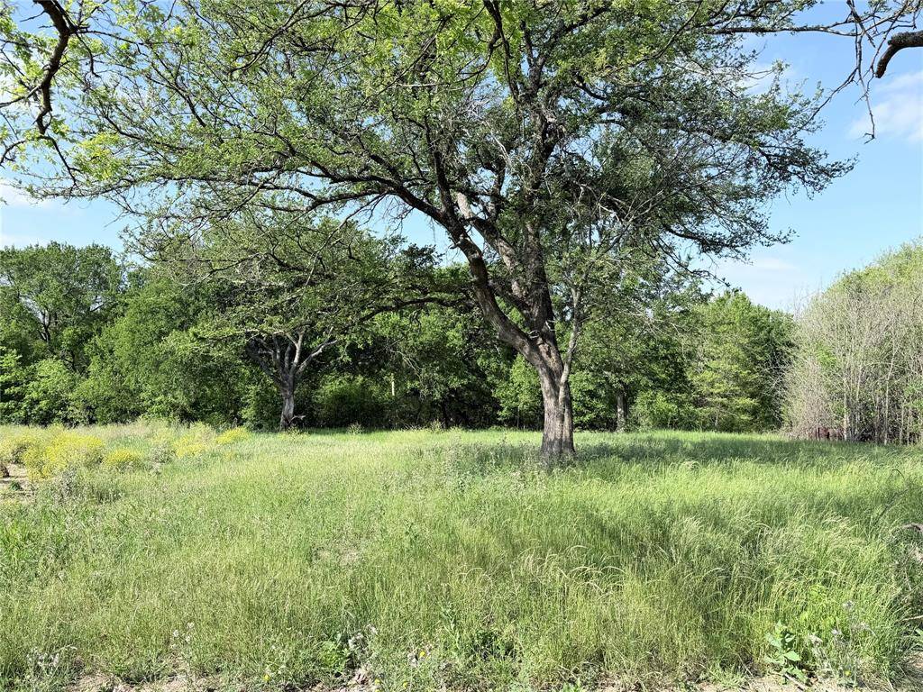 TBD County Road 3204, Abbott, TX 76621