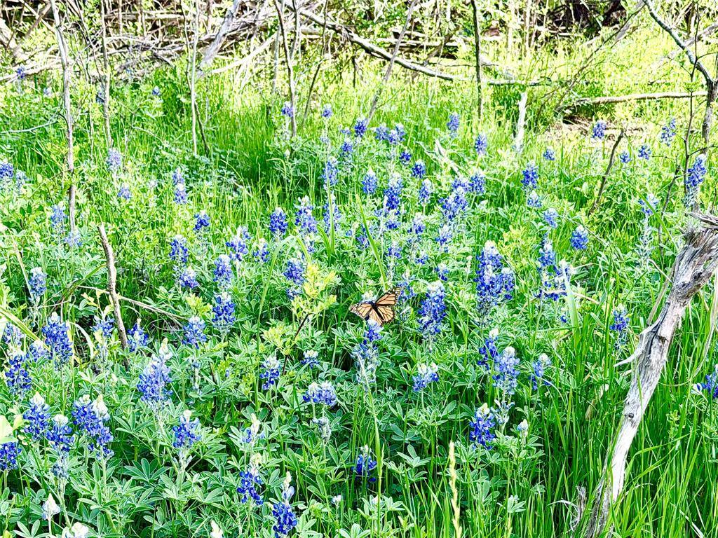 TBD County Road 3204, Abbott, TX 76621