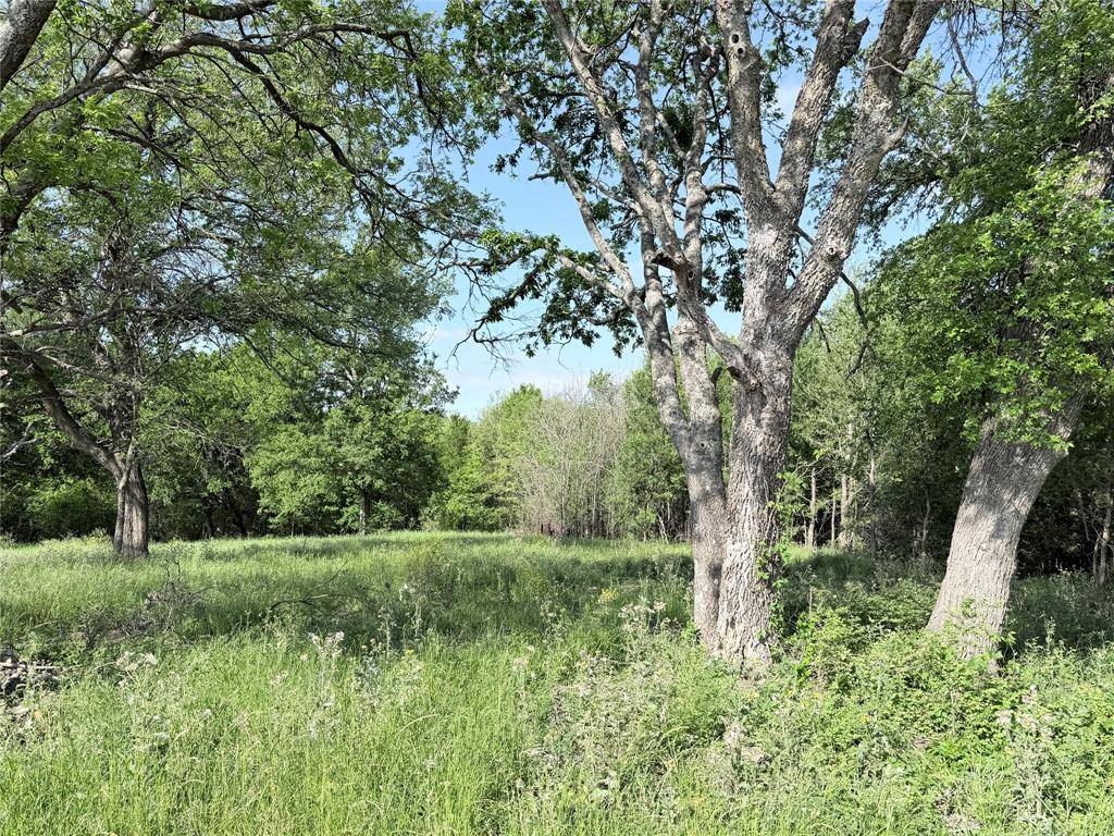 TBD County Road 3204, Abbott, TX 76621