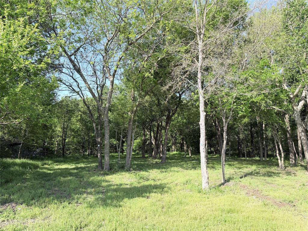 TBD County Road 3204, Abbott, TX 76621