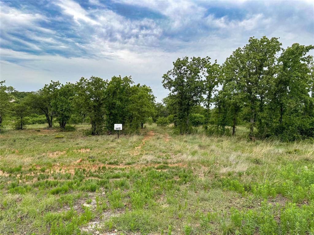 Lot 83 Shoreline Drive, Cisco, TX 76437
