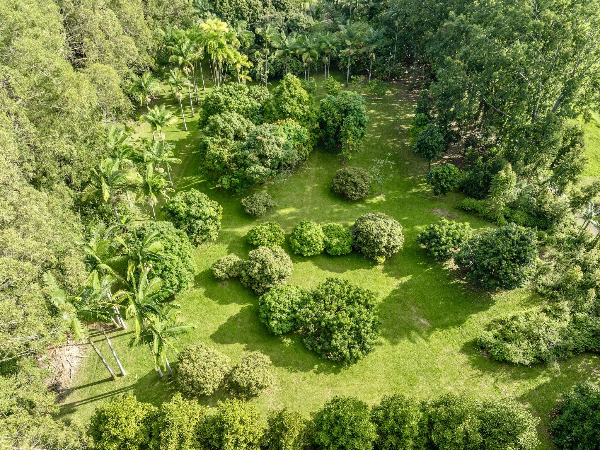 29-509 CHIN CHUCK RD, Hakalau, HI 96710