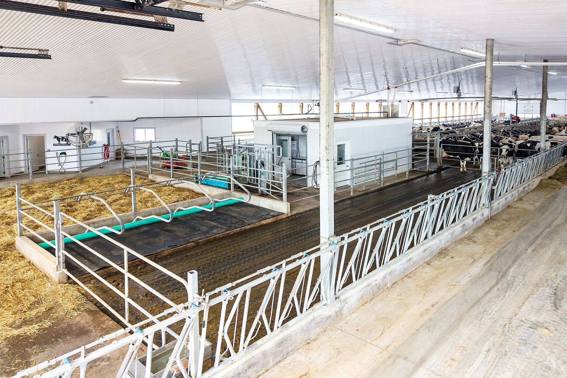 782533 Side Road 3 N/A, Chatsworth, ON N0H 1G0