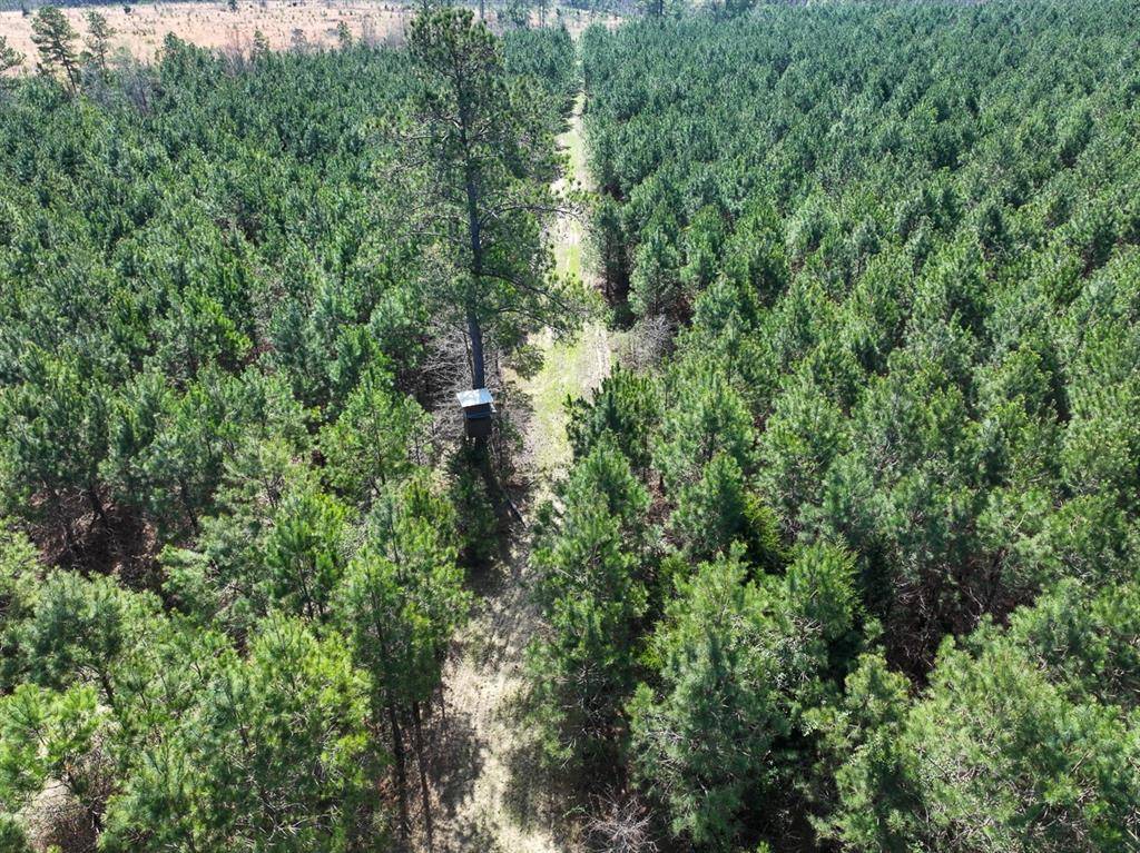 5 United Gas Road 1, Rodessa, LA 71069