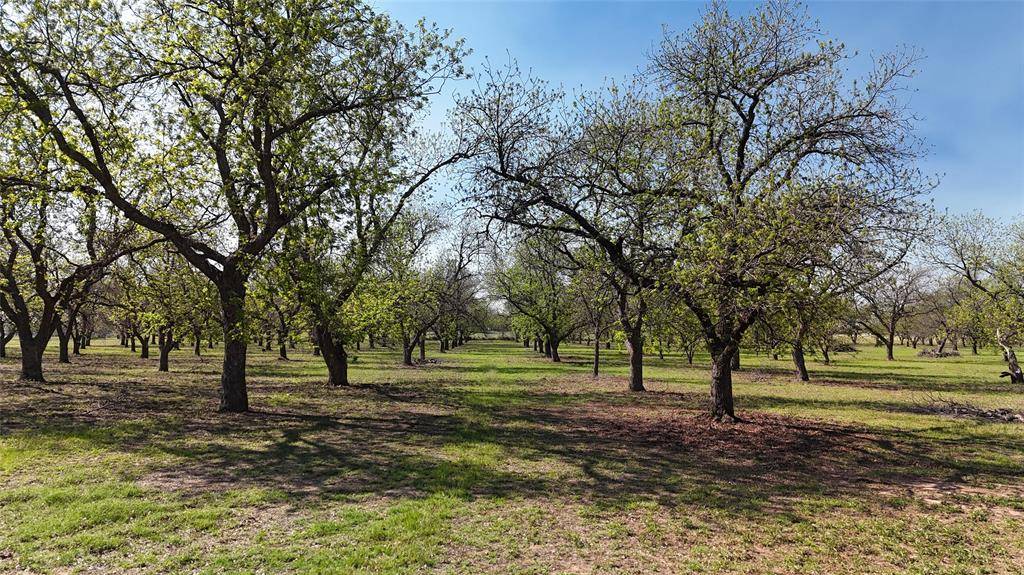 000 Pecan Lane, Newcastle, TX 76372