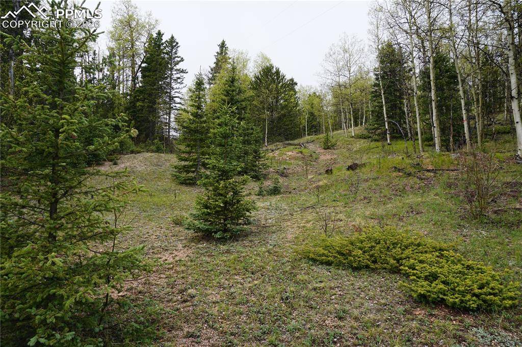 Vacant Land, Cripple Creek, CO 80813