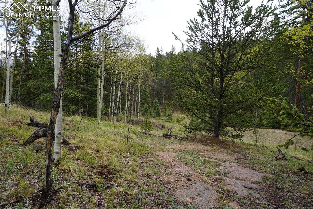 Vacant Land, Cripple Creek, CO 80813