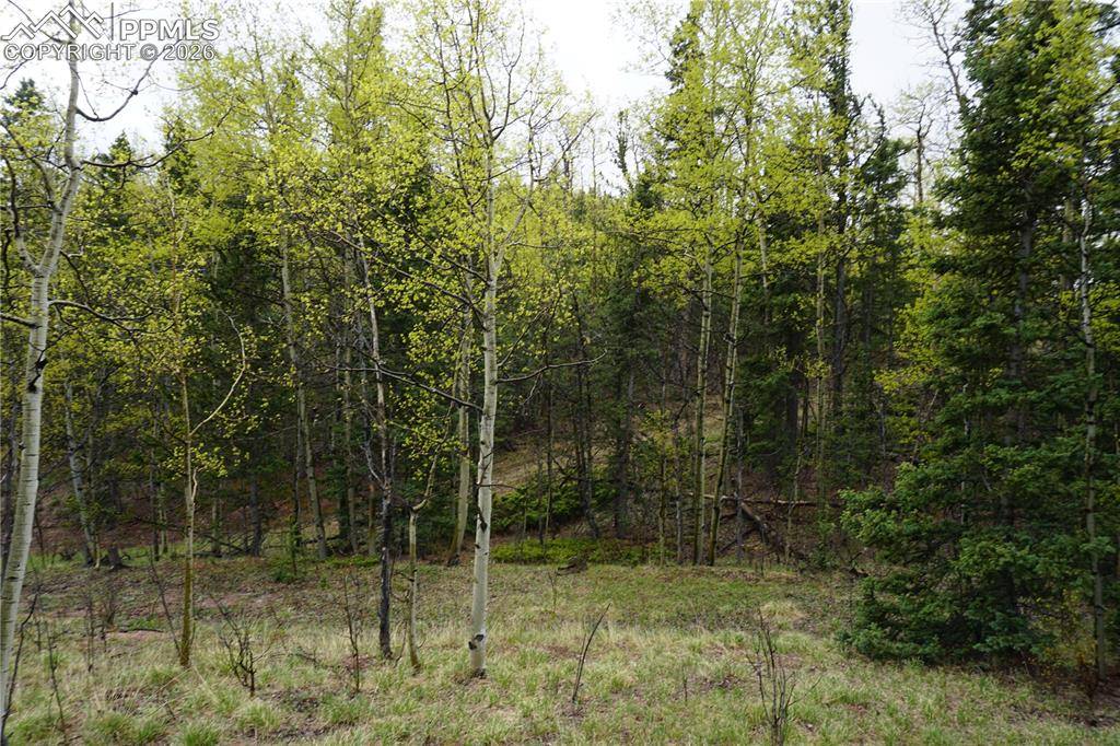 Vacant Land, Cripple Creek, CO 80813