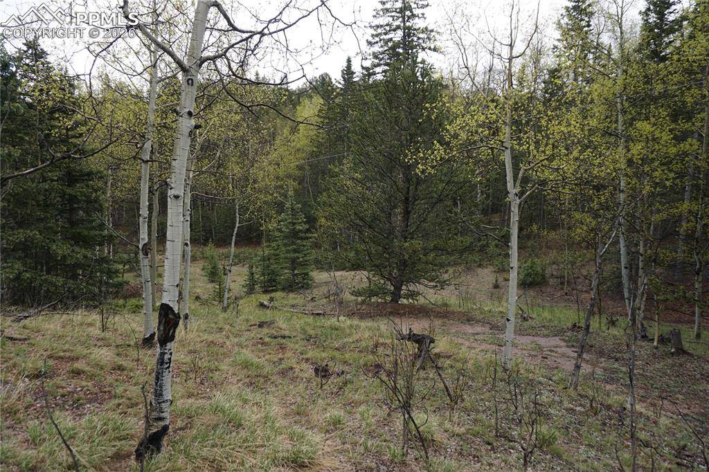 Vacant Land, Cripple Creek, CO 80813