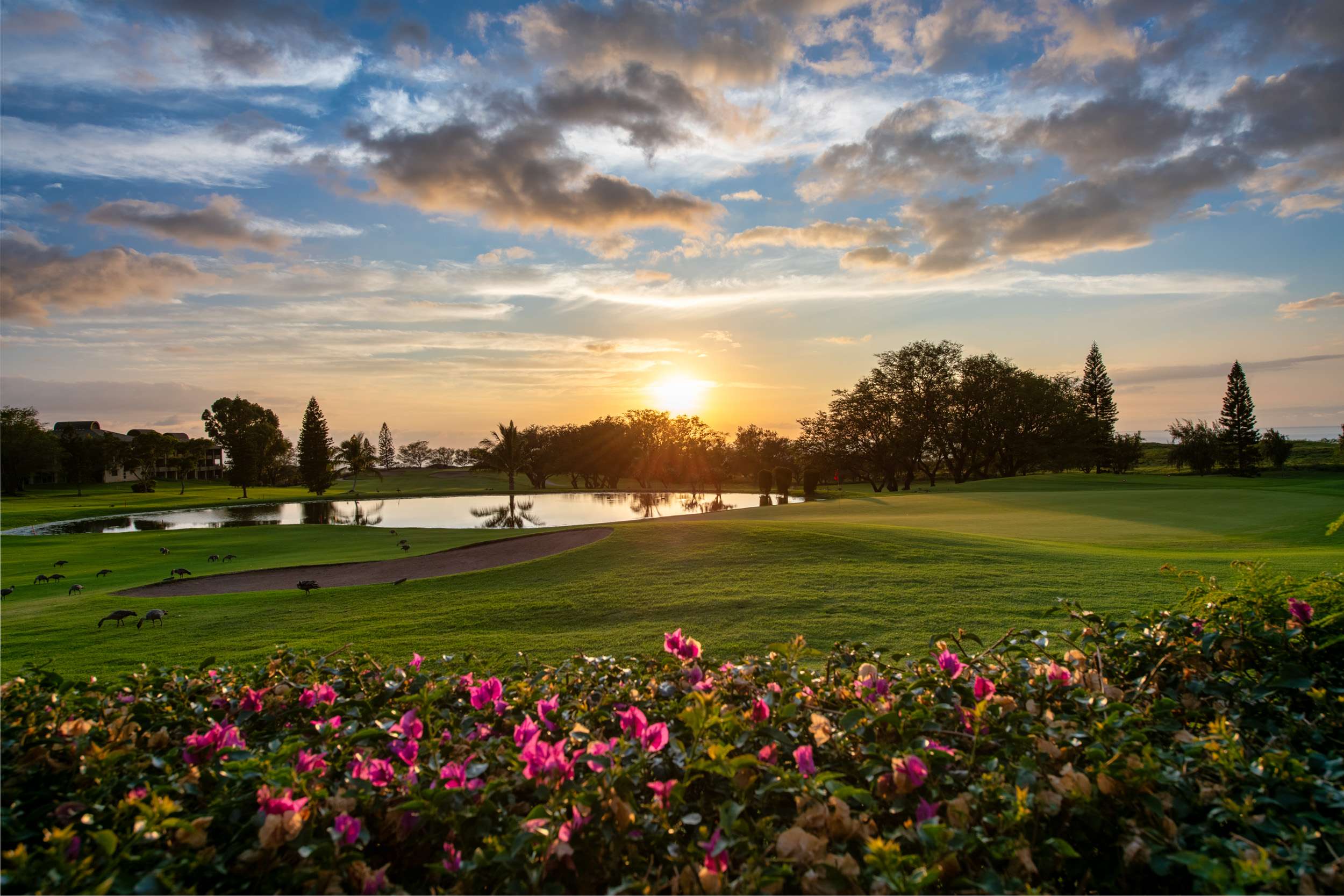 68-1754 MELIA ST #A103, Waikoloa, HI 96738