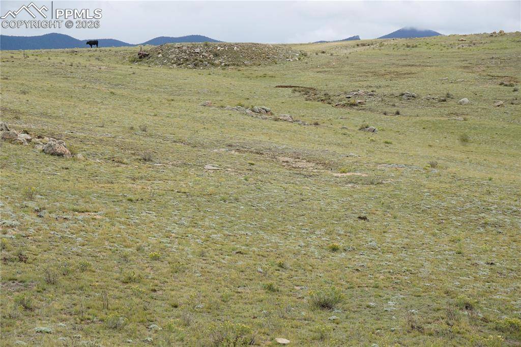 TBD High DR, Hartsel, CO 80449