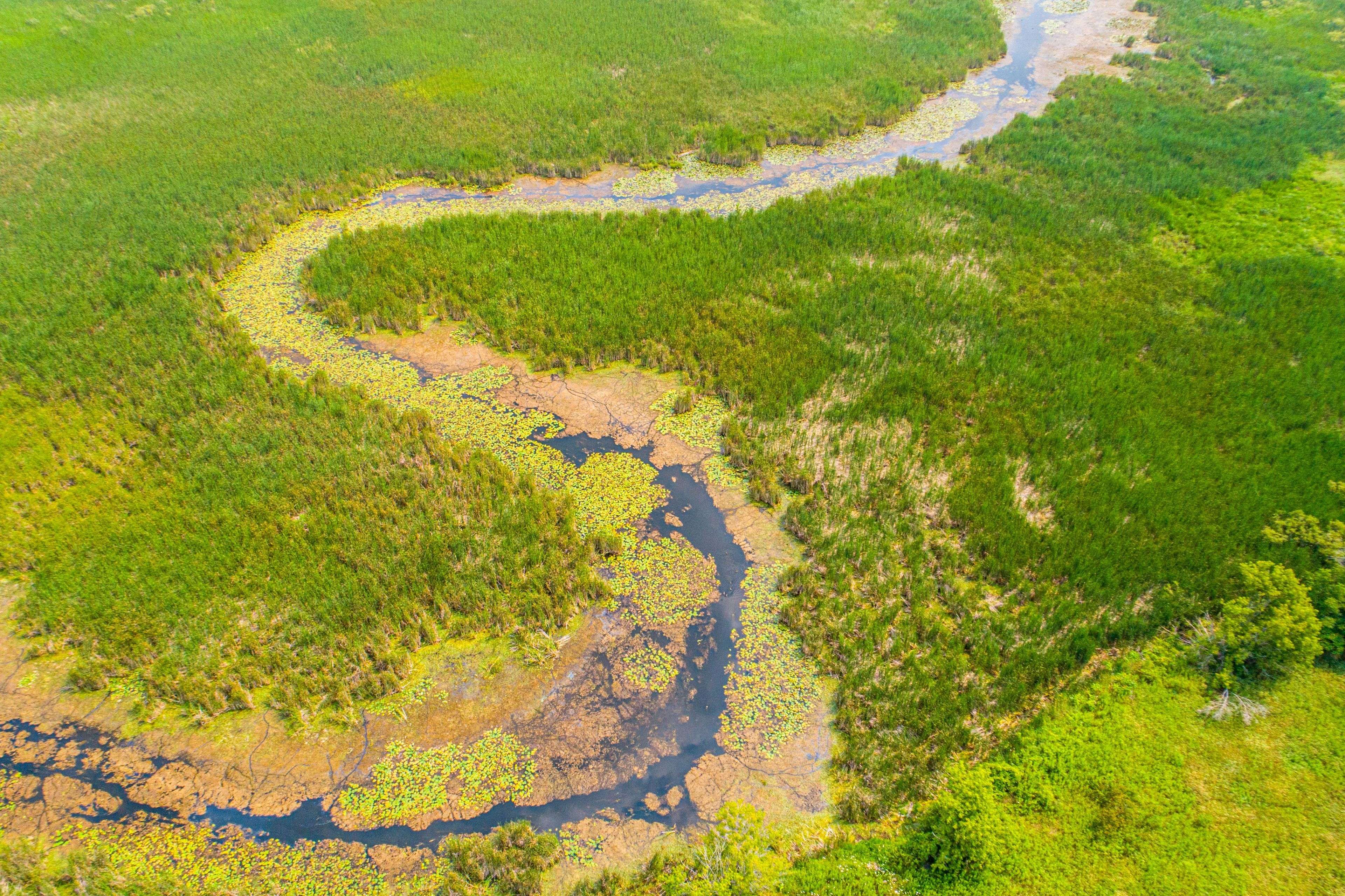 PT LT 13 Con 6 N/A, Brock, ON L0C 1H0