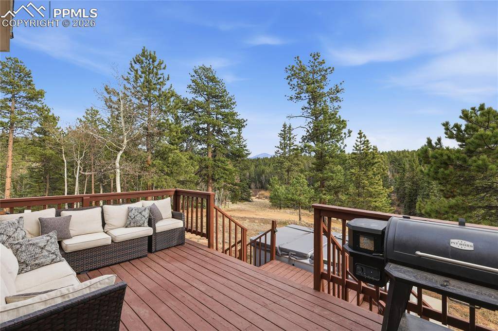 57 Trout Creek CIR, Divide, CO 80814
