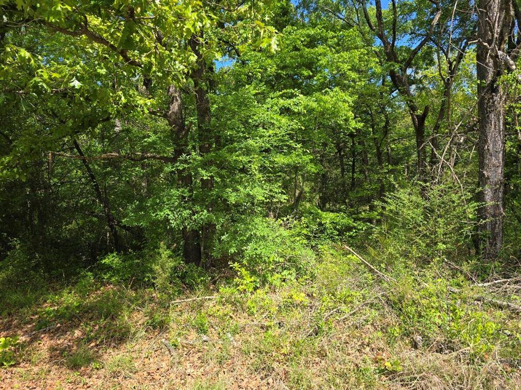Lot 699 Shady Grove Road, Gun Barrel City, TX 75156
