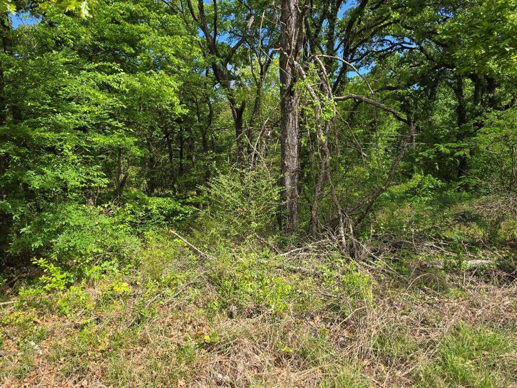 Lot 699 Shady Grove Road, Gun Barrel City, TX 75156
