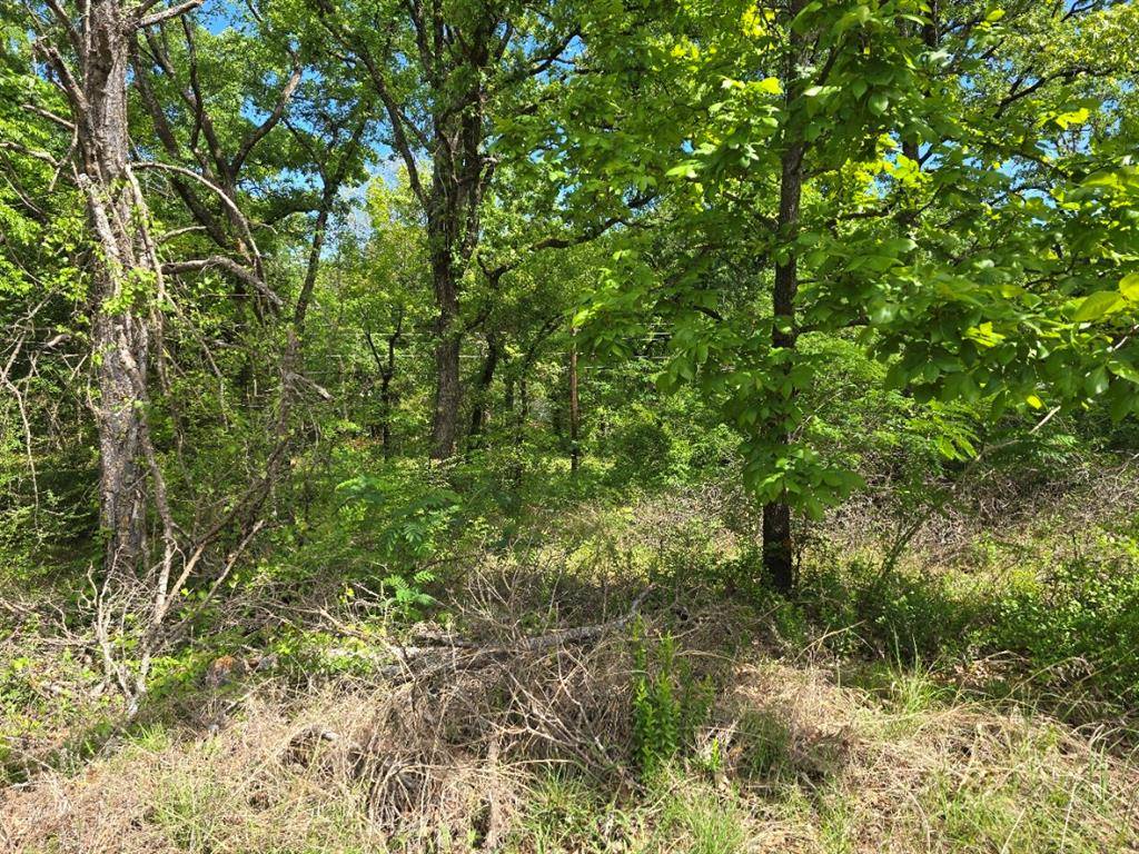 Lot 699 Shady Grove Road, Gun Barrel City, TX 75156
