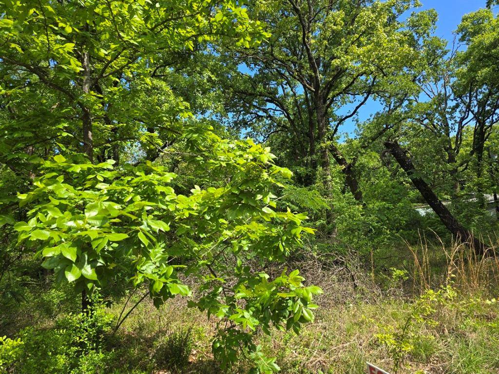 Lot 699 Shady Grove Road, Gun Barrel City, TX 75156