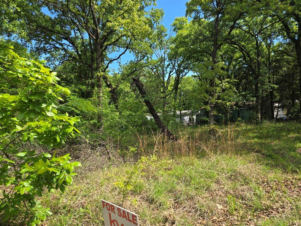 Lot 699 Shady Grove Road, Gun Barrel City, TX 75156