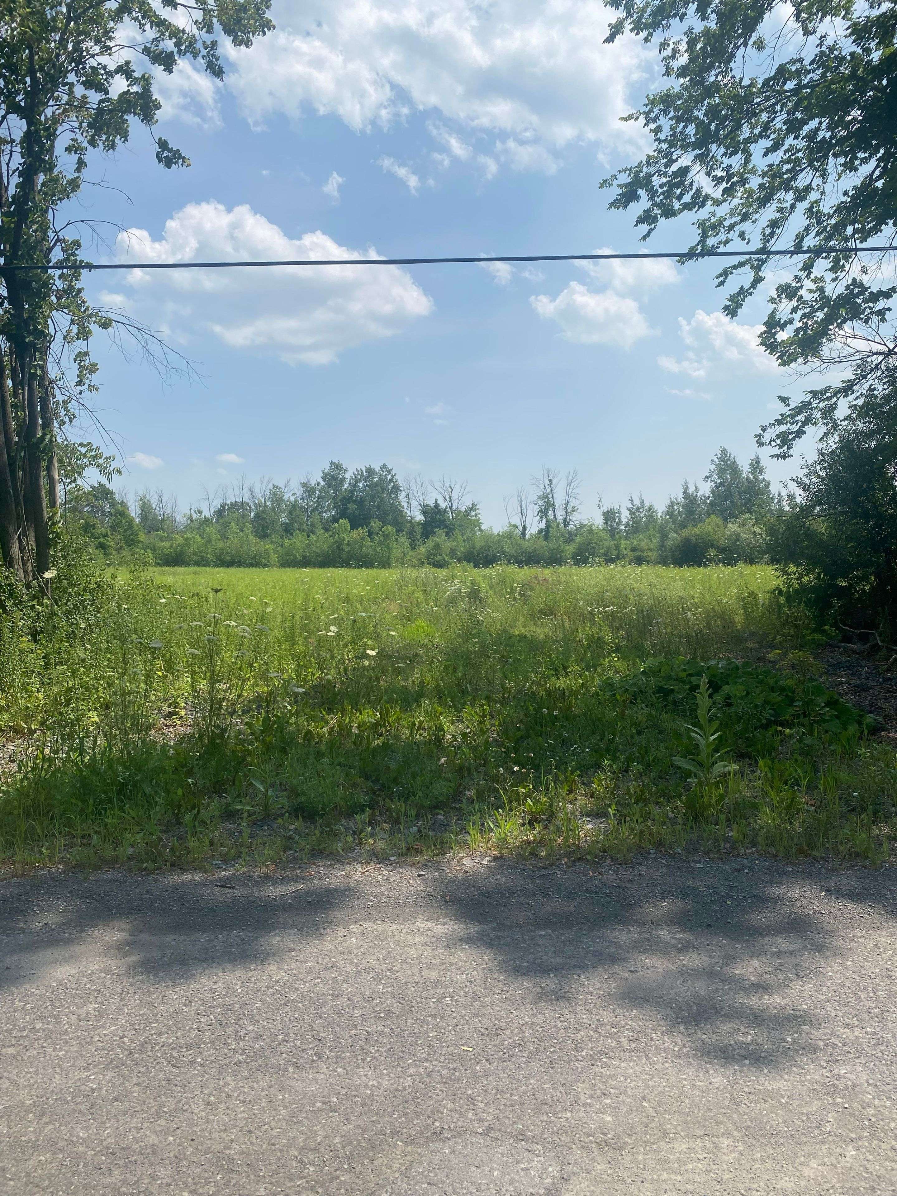 LT 3 Harmony RD E, North Dundas, ON K0C 2K0