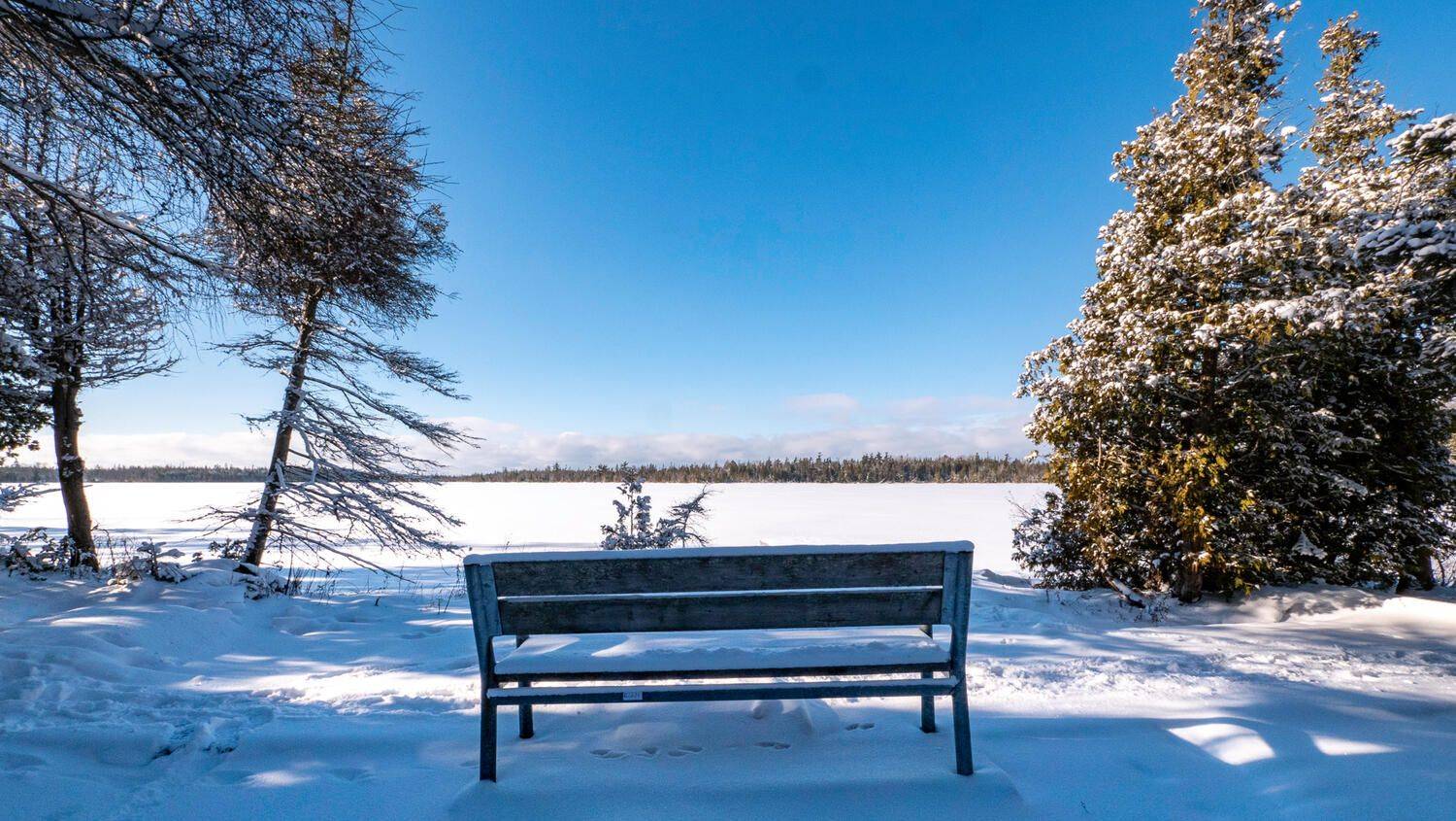 LOT 5 TRILLIUM CROSSING N/A, Northern Bruce Peninsula, ON N0H 1W0