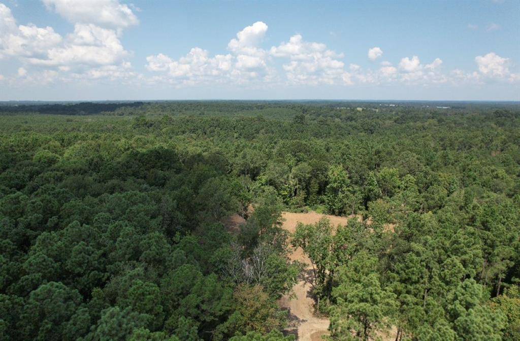 TBD County Road 3704, Joaquin, TX 75954