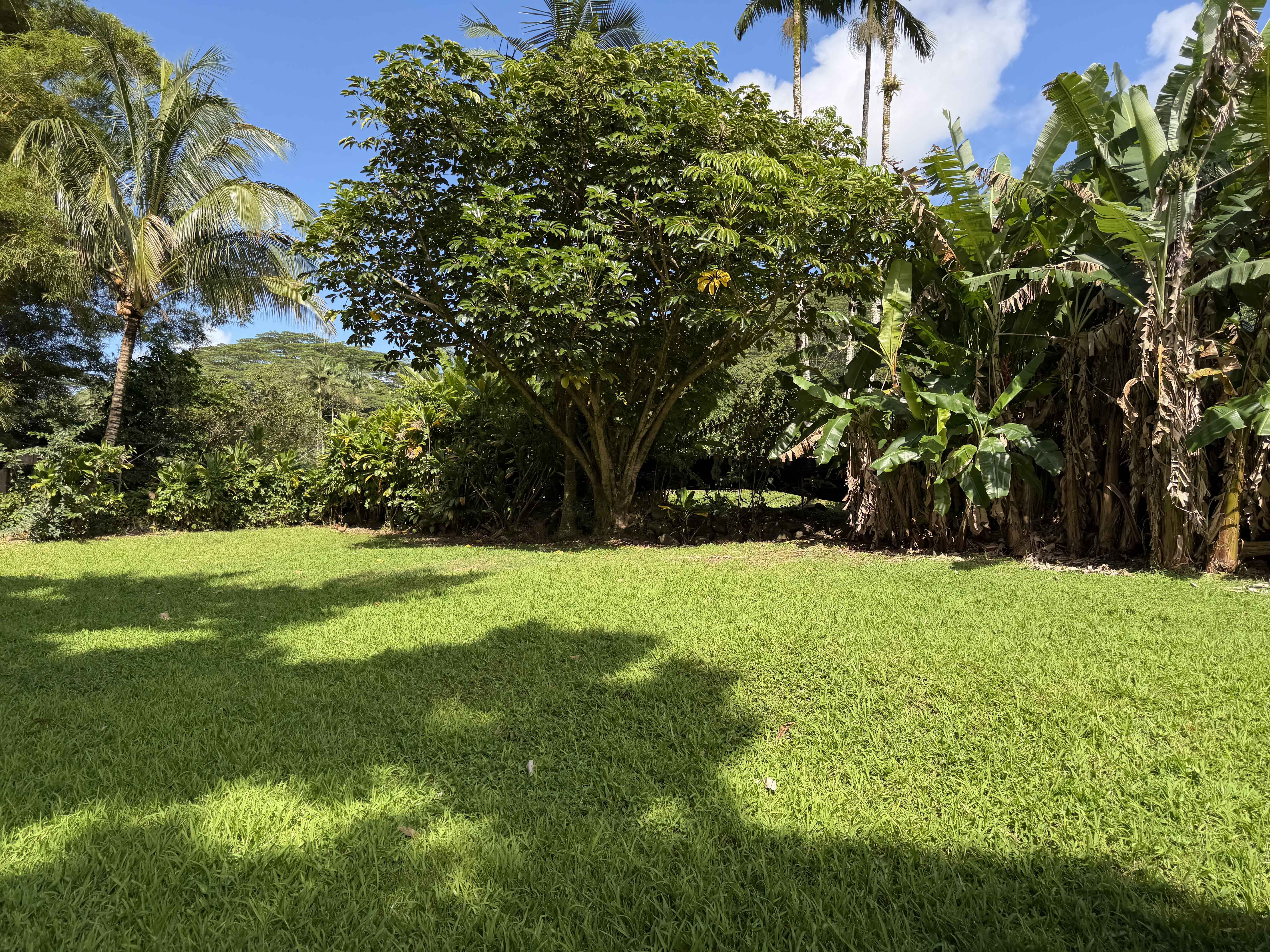 Hanalei, HI 96714