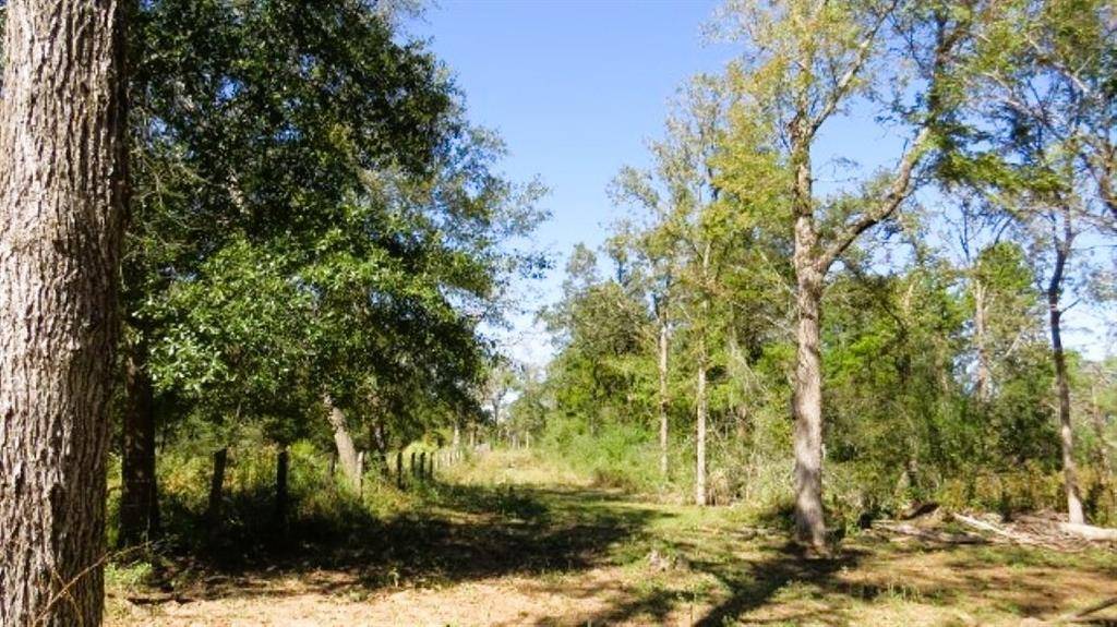 TBD Jack Rabbit Lane, Hearne, TX 77859