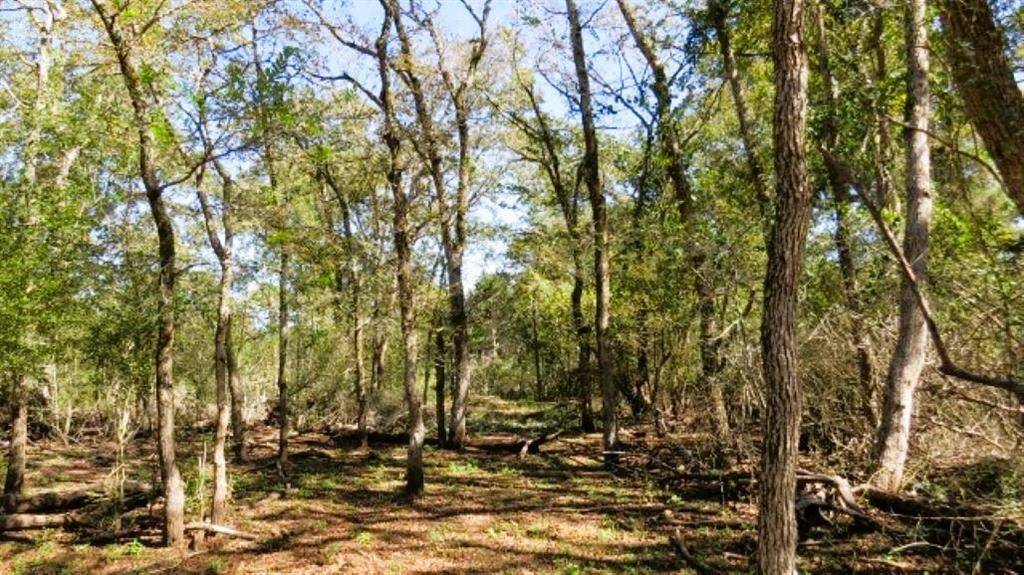 TBD Jack Rabbit Lane, Hearne, TX 77859