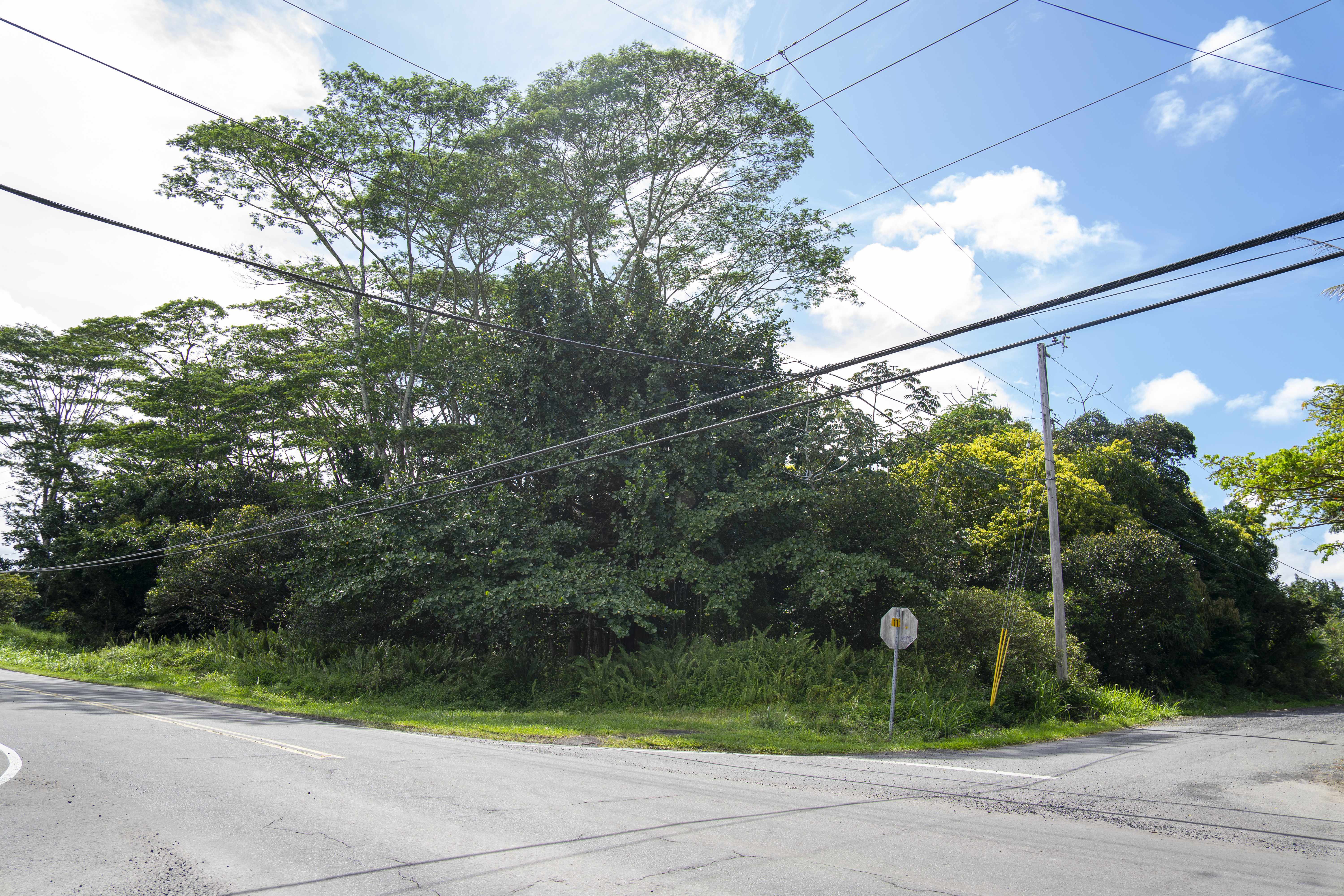 MAKUU DR, Keaau, HI 96749